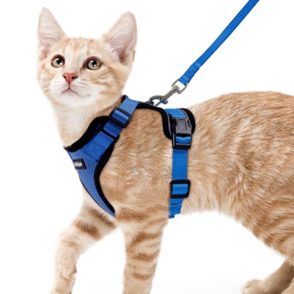 XS Blue Cat Harness and Leash Set